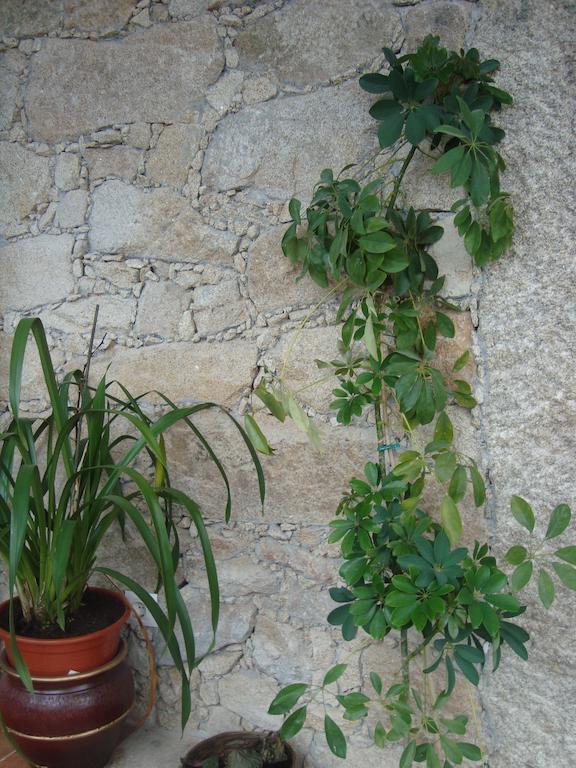 Casa Villar Mayor Vilar Maior Εξωτερικό φωτογραφία